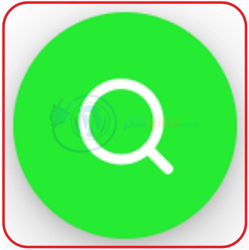 WP Magnifier — Лупа для WordPress